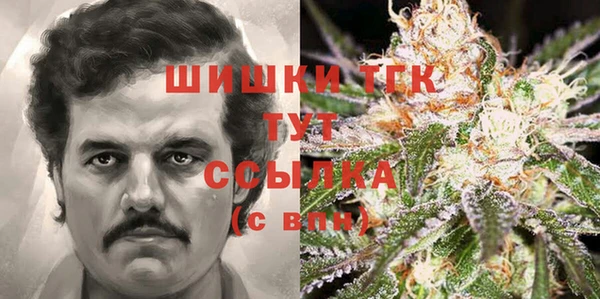 марки nbome Вяземский
