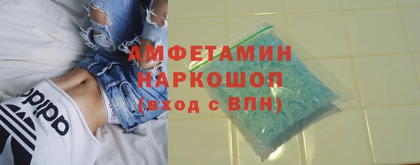 сатива Володарск