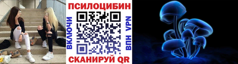 Псилоцибиновые грибы ЛСД где найти наркотики Устюжна