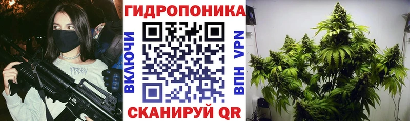 где купить наркоту  даркнет как зайти  МАРИХУАНА план  Устюжна 